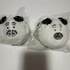 ナガノキャラクターズ　くまだらけぬいぐるみくじ　E賞　パグ　2点セット！