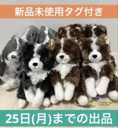 くったりボーダーコリーJB ぬいぐるみ6体セット
