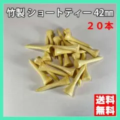 Item thumbnail for item b8523fdb-eb86-460a-b6ae-19c41c880d8a