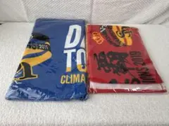 福岡ソフトバンクホークス記念タオル