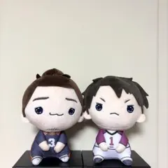 ハイキュー!! もちぴこ ぬいぐるみ　牛島若利　東峰旭　匿名配送　最安値