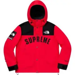 Supreme NorthFace ArcLogo Mountain Parka