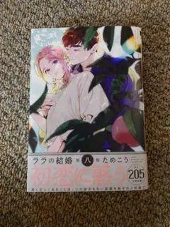 2025年最新】ララの結婚の人気アイテム - メルカリ