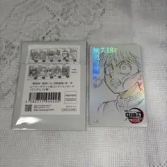 鬼滅の刃　無限城編　ムビチケ風コレクションカード　栗花落カナヲ