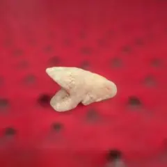 Item thumbnail for item 2811396d-c961-48dd-96b0-2bd2c260f7d6