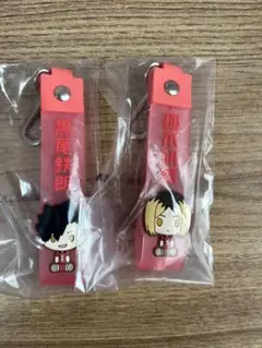 ハイキュー‼︎一番くじＨ賞 黒尾鉄朗・孤爪研磨