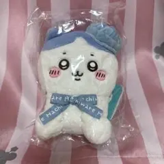 ハチワレ　ぬいぐるみ　ベレー帽