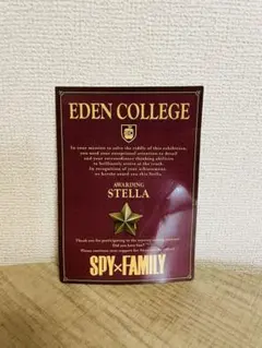 SPY×FAMILY展 ステラ ピンズ 非売品 限定 アーニャ