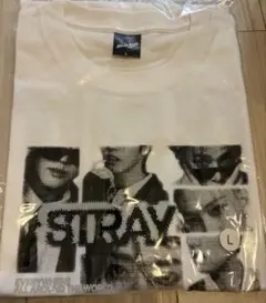 新品未開封】ハロルド作石 × フォーリミ Tシャツ ホワイト☆ L - メルカリ