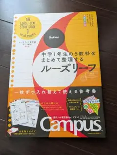 中学1年生の5教科をまとめて整理するルーズリーフ