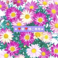 ★❣️蘭❣️様ご専用★スクエアな小物入れ　２個セット(固まるハーバリウム)