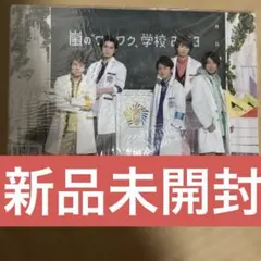 【新品未開封】2013年　嵐のワクワク学校　下敷きプラスノート