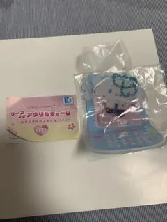 サンリオ　ケースつきアクリルチャーム　シナモン