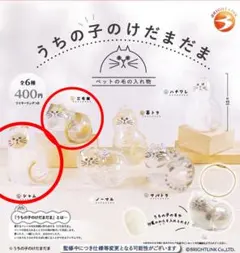 うちの子のけだまだま 三毛猫 シャム