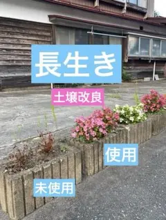 입상 토양 개량 활성 물질 2kg