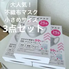 大人気！不織布マスク　小さめサイズ　3点セット