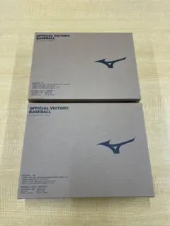 【新品】ミズノ ビクトリー硬式ボール大学野球 試合球 2ダース(24球) 正規品