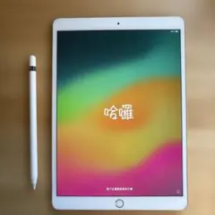 iPad Pro 10.5インチ A1701　ゴールド