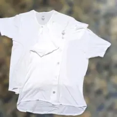 Item thumbnail for item 2cc2ff24-424c-47c8-a489-0178a6c9a3ae