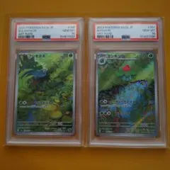 PSA10】ミロカロスex SAR フシギダネ AR 2枚 超電 151 - メルカリ