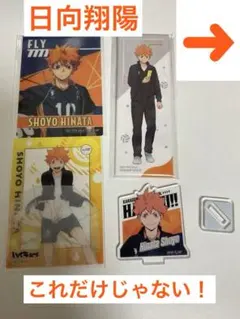 ハイキュー!! 日向翔陽 セット