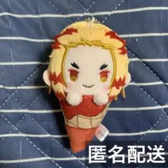 ピーターマン＠プロフ必読様 リクエスト 2点 まとめ商品