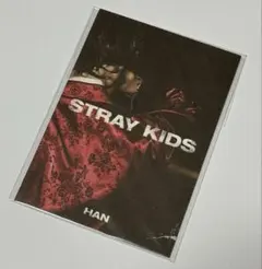 Stray Kids IN生 プレオーダー特典 ミニフォトブック ハン