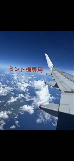 ミント様専用 グッズ
