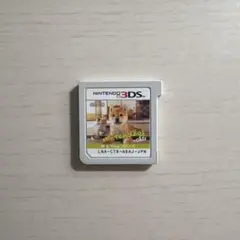 nintendogs+cats 柴&Newフレンズ