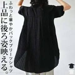 【antiqua】上品なシアー感♪ バック プリーツ シャツ【アンティカ】のサムネイル