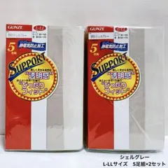 GUNZE サポート　ストッキング　シェルグレー　L-LL 5足組×2セット