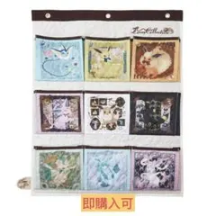 【新品未使用】ウォールポケット Eevee Collection