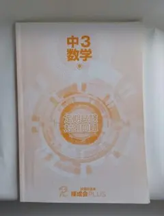 3.14 錬成会グループ 中3 高校受験 テキスト 参考書 教材 3.14 錬成会グループ 中3 高校受験 テキスト 参考書 教材