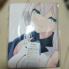 Item thumbnail for item 15beaad4-6ac7-4aaf-bdd4-8f343e8d1731