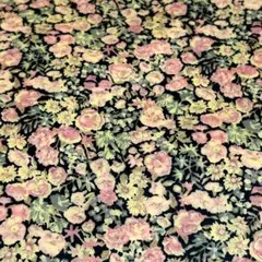 リバティ　タナローン チャイブ ビニコ