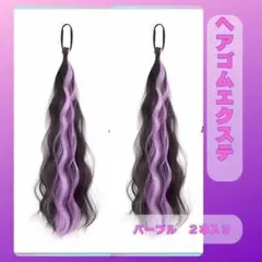 髮圈式彩色髮束 2入組 紫色 網狀彩色髮束 1203