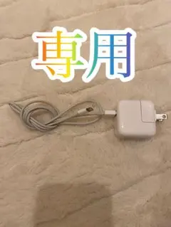 専用　　ホワイト充電器 USBコネクタ