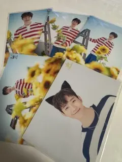 2pm ジュノフォトカード 5枚セット