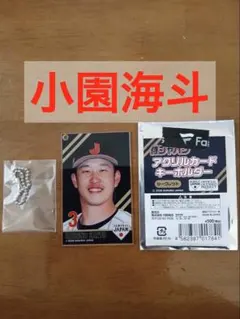 Item thumbnail for item 9b999ada-a2de-4199-bb2a-3b56800cfcd4