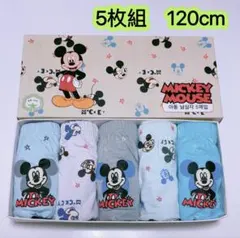 5枚組120 男の子ブリーフ 可愛いパンツ 子供下着 キッズ下着 肌着　440号