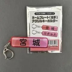 オリックスバファローズ　宮城大弥　ネームプレート　アクリルキーホルダー　パワプロ