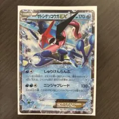サトシゲッコウガEX P 次世代WHF'16 Winter 来場者特典 キラ … - メルカリ
