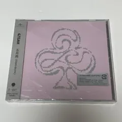 &TEAM 五月雨 Samidare 通常盤 CD 新品未開封 韓国仕様 ④
