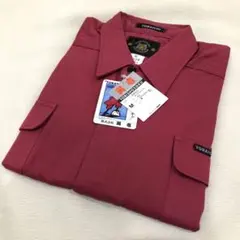 Item thumbnail for item 0c881c7e-a663-4042-8d0f-ced37bdaec4b