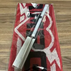 THE RAMPAGE アプグレ ヴィジュアルフラッグ マフラータオル ④