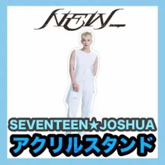 【ジョシュア】NEW_全身アクリルスタンド★SEVENTEEN。セブチ★15cm