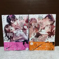 極妻はお断り 女性漫画