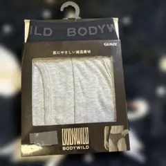 BODYWILD グンゼ　ボディワイルド　前あき　ブリーフ　LL GUNZEのサムネイル