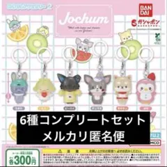 JOCHUM めじるしアクセサリー2 全6種コンプセット②