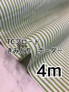 4m TCブロード きみどり　ボーダー　ハギレ　生地